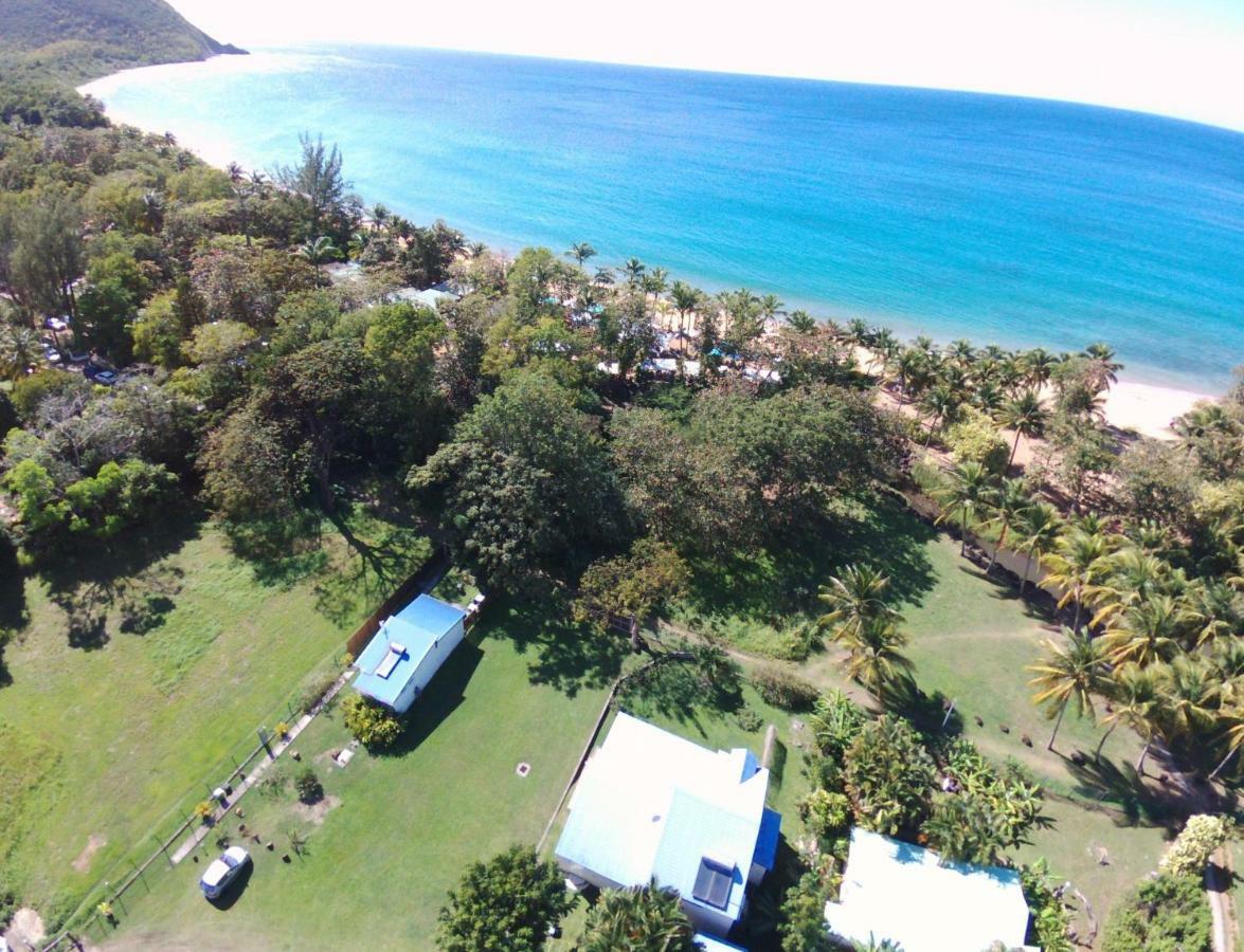 Rêve créole Deshaies Exterior foto